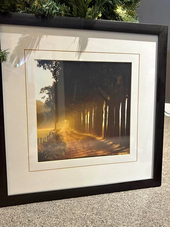 Beautiful Black and White, Sun dusk pair Vintage rural landscape
