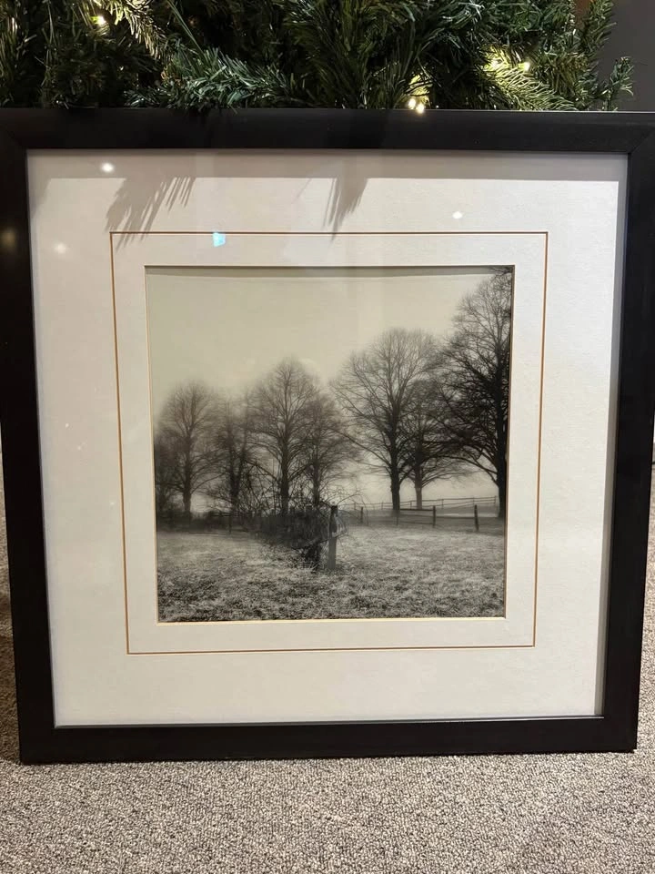 Beautiful Black and White, Sun dusk pair Vintage rural landscape - photo 2