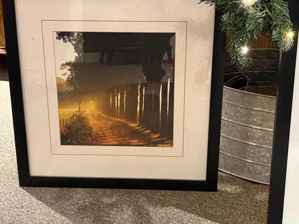 Beautiful Black and White, Sun dusk pair Vintage rural landscape - photo 3