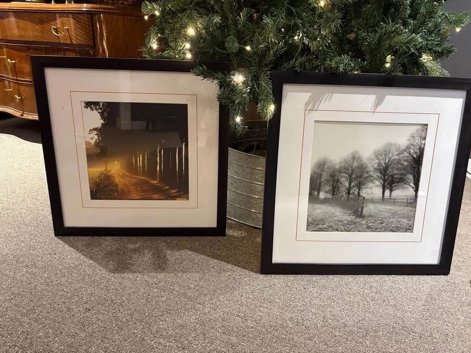 Beautiful Black and White, Sun dusk pair Vintage rural landscape - photo 4