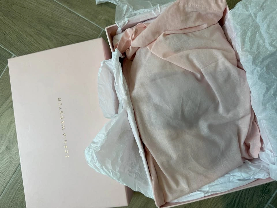 Sophia Webster Dina Crystal Clear Flat Sandals White/Rose Gold S - photo 5