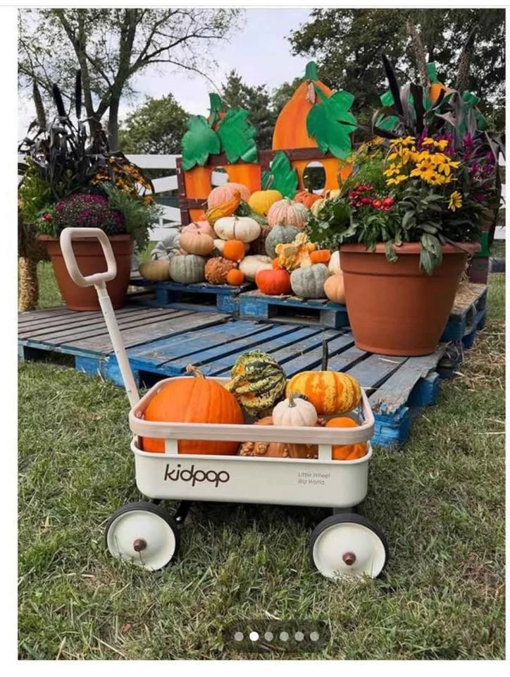 3-in-1 Kids Push Walker & Wagon with Removable Wooden Cover - photo 3