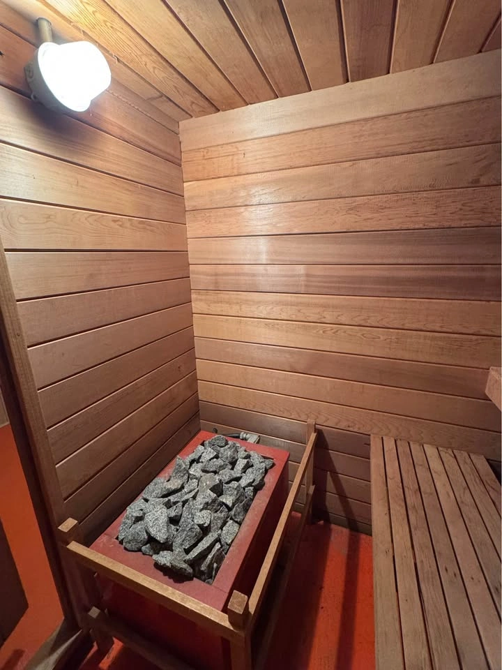 Indoor Electric Sauna - photo 4