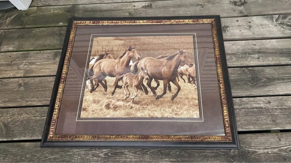 Framed horses running painting