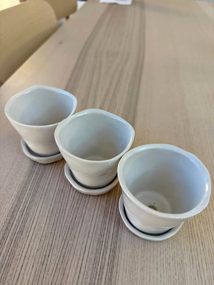 Set of 3 White Succulent Planters