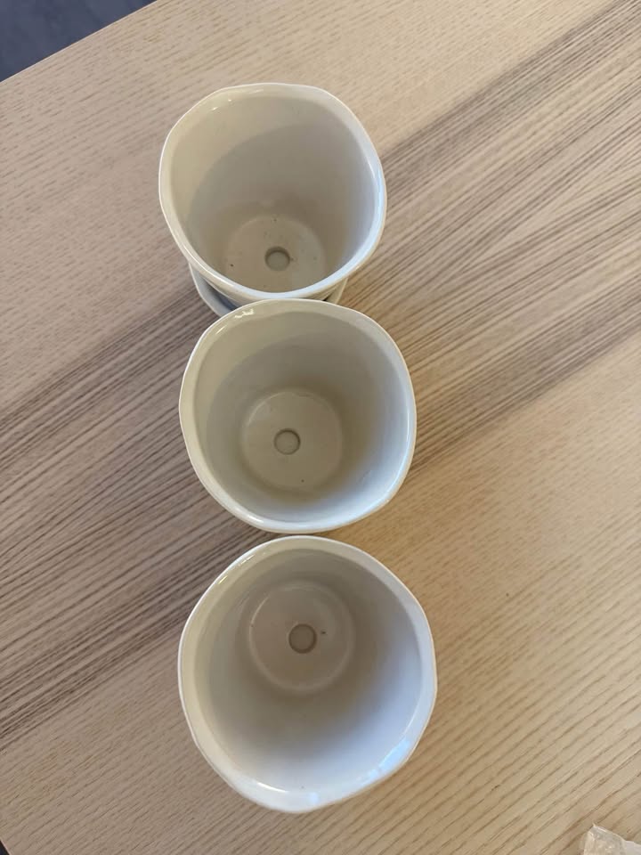 Set of 3 White Succulent Planters - photo 2