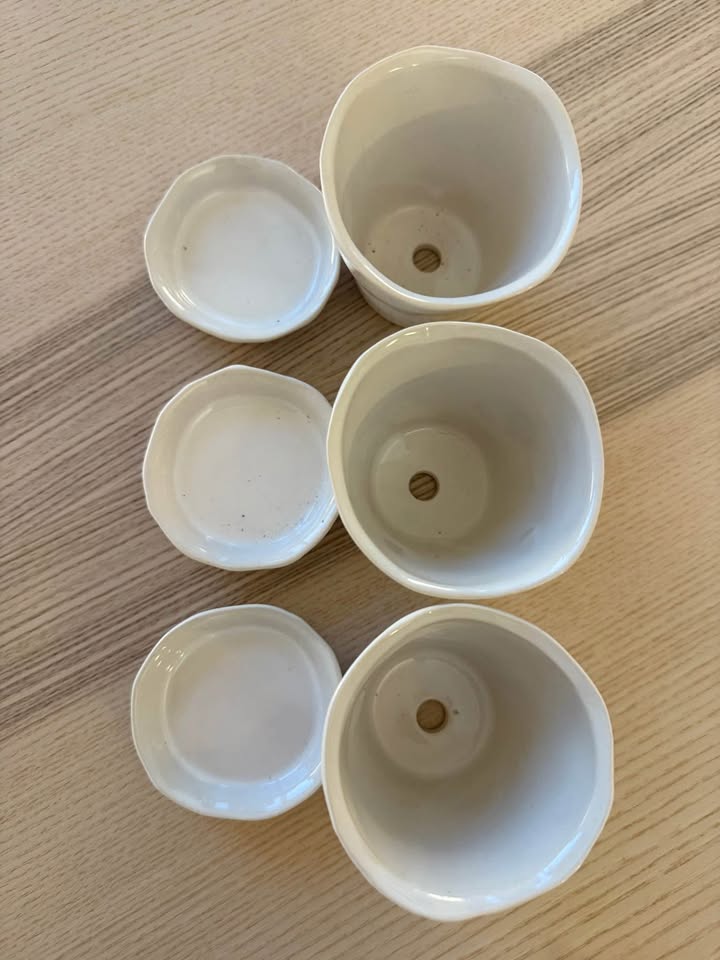 Set of 3 White Succulent Planters - photo 3