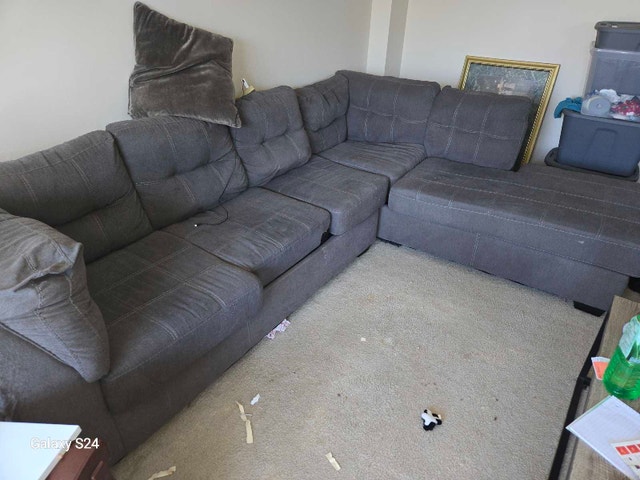 FREE Very Cat Friendly Home Sectional Couch
