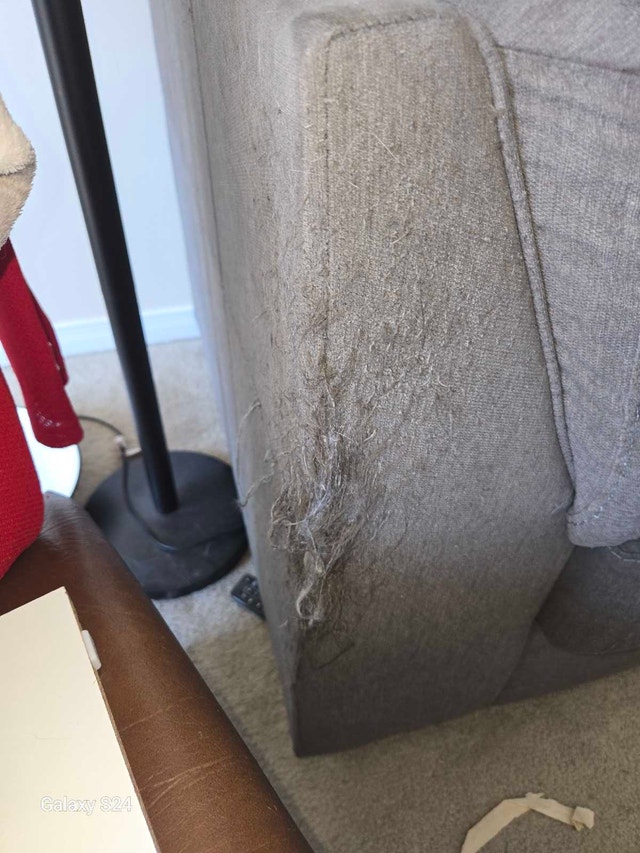 FREE Very Cat Friendly Home Sectional Couch - photo 2
