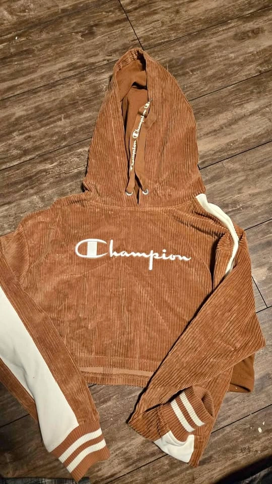 Champion cropped hoodie