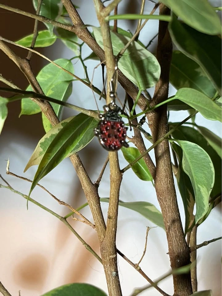 🐞 Cute Ladybug Dangle Earrings – Nature Inspired 🌿 - photo 2