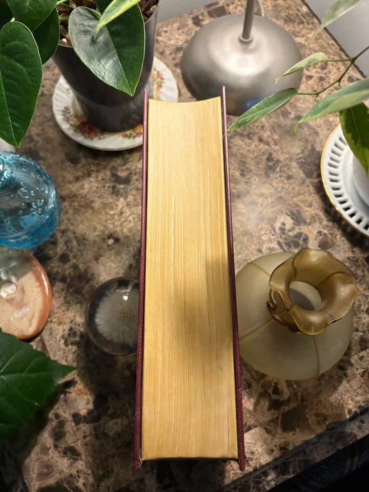 Hidden Book Storage Box – Coffee Table Organizer (Art Deco Style - photo 5