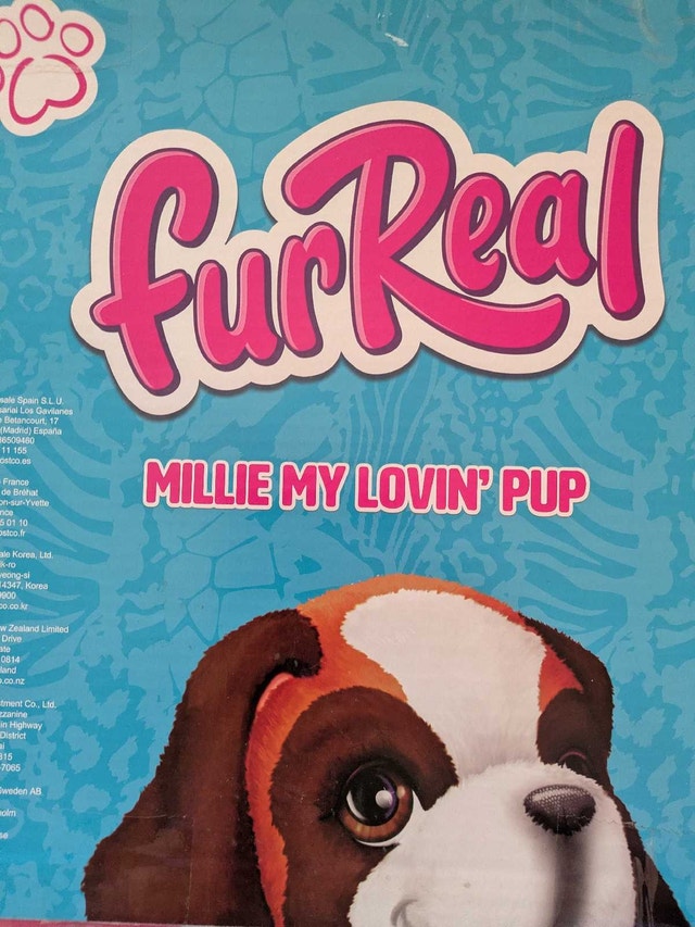 Fur Real Millie - photo 3