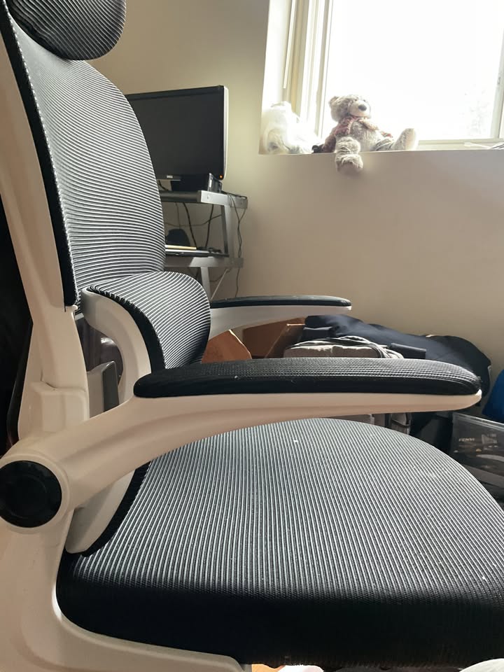 Ergonomic Office Chair - photo 3