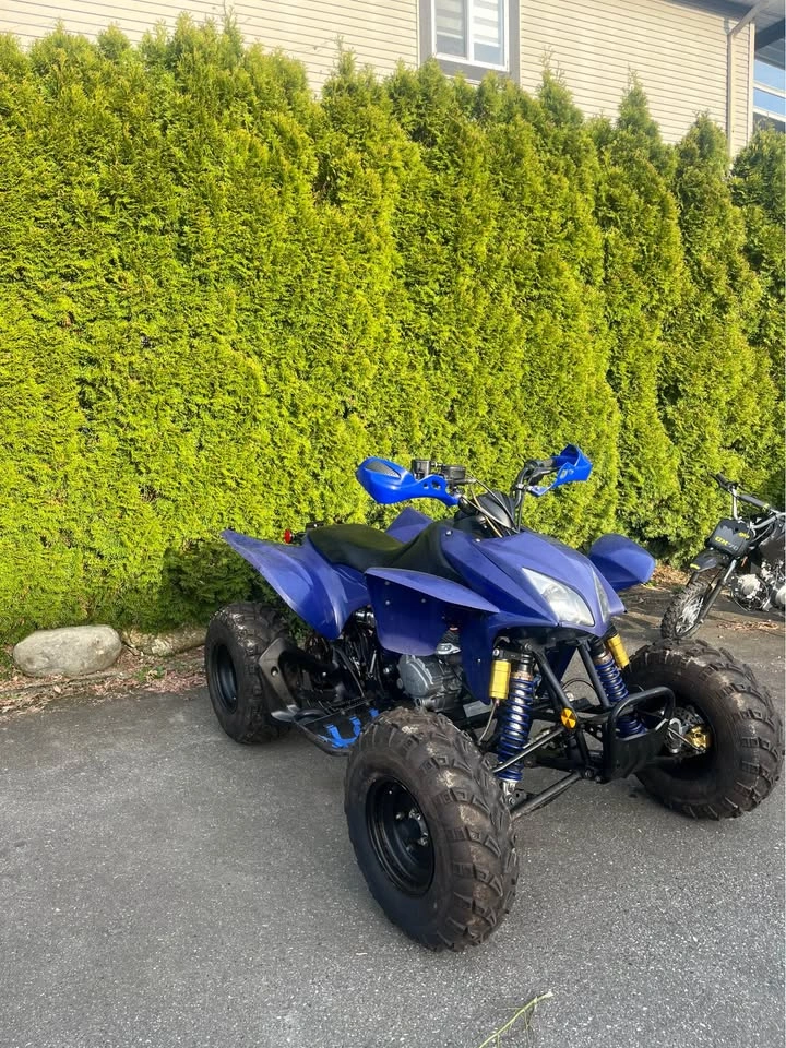 250cc Sport ATV – Electric Start – Clean, Fast, Ready to Ride - photo 3