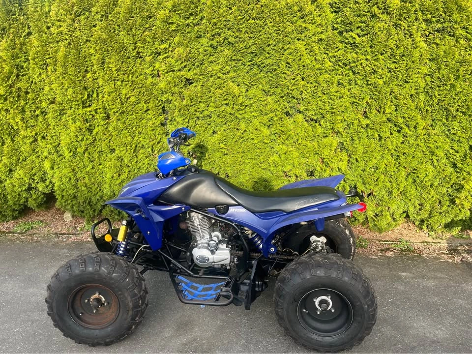 250cc Sport ATV – Electric Start – Clean, Fast, Ready to Ride - photo 4