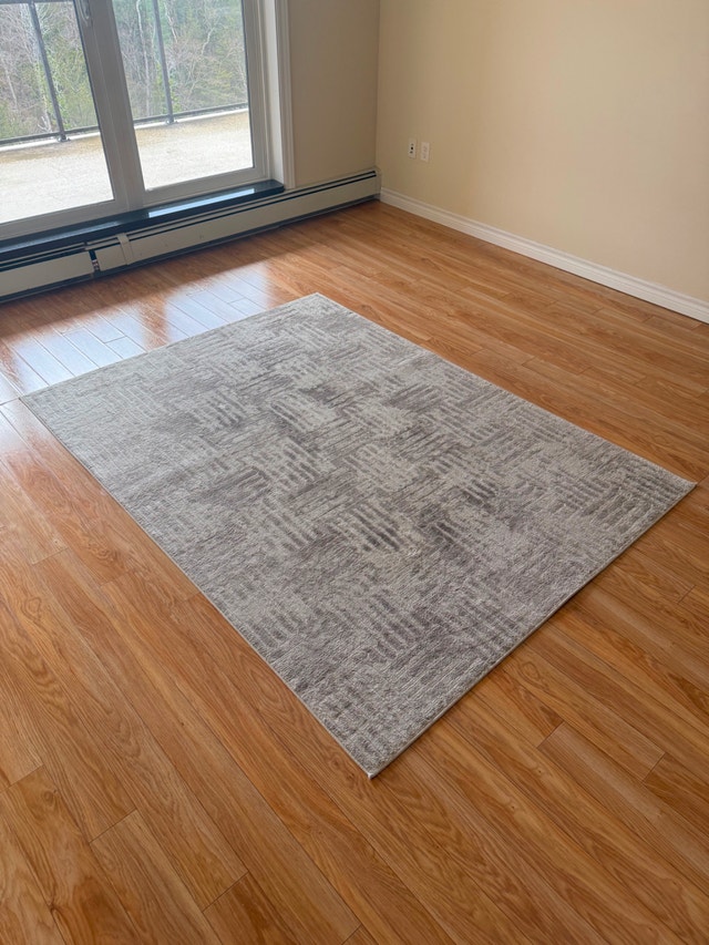 Modern Neutral Area Rug – 5x7 ft | Soft Grey Pattern | Like New