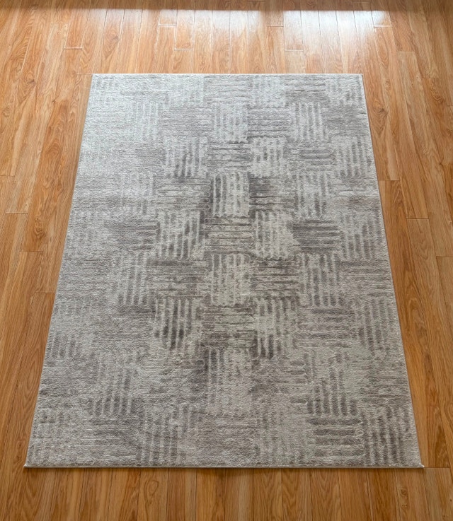 Modern Neutral Area Rug – 5x7 ft | Soft Grey Pattern | Like New - photo 2
