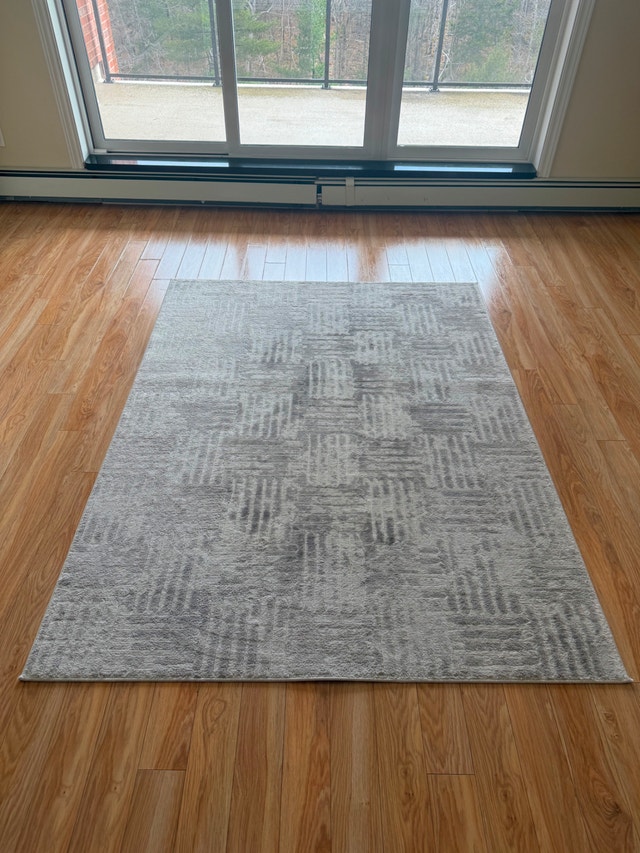 Modern Neutral Area Rug – 5x7 ft | Soft Grey Pattern | Like New - photo 3