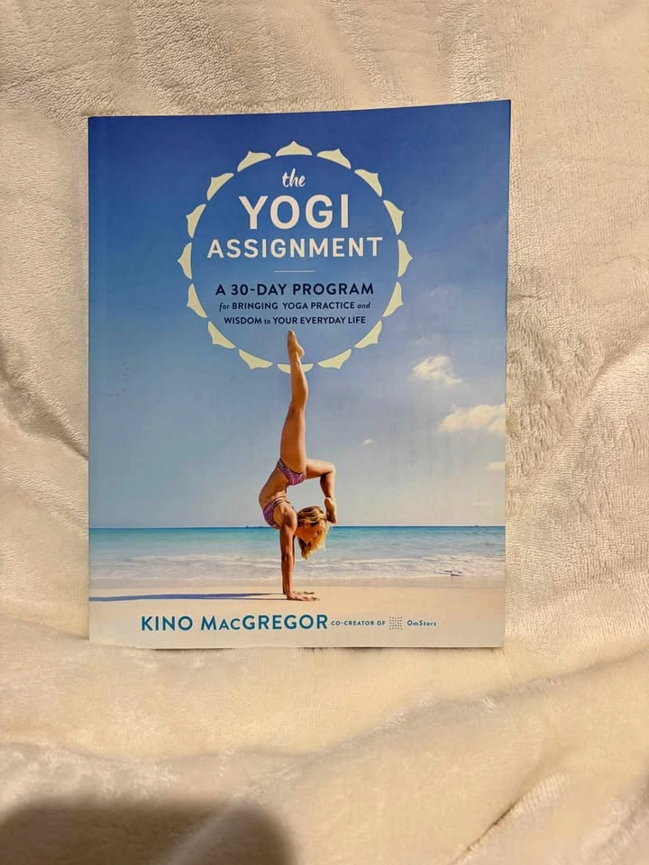 The Yogi Assignment (yoga book)
