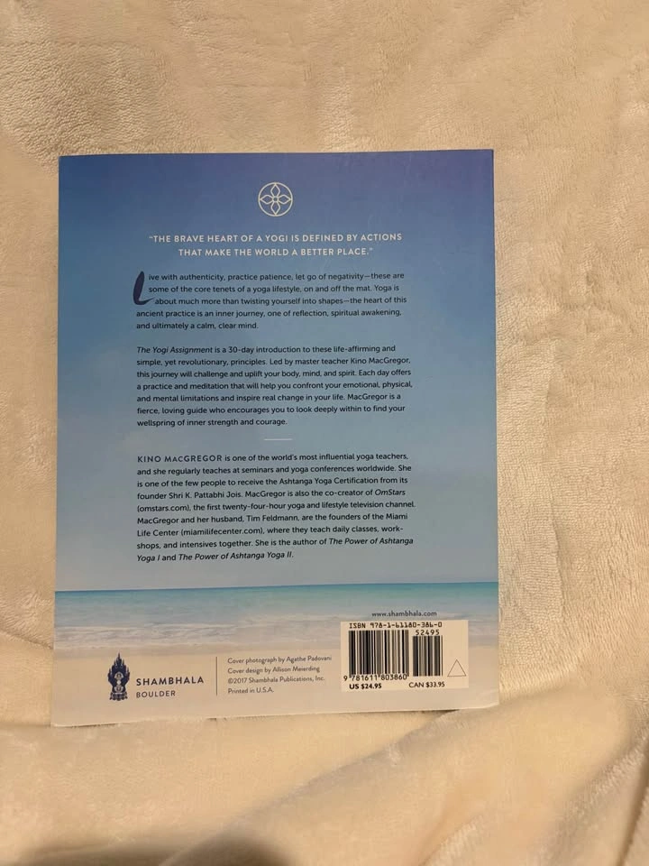 The Yogi Assignment (yoga book) - photo 2