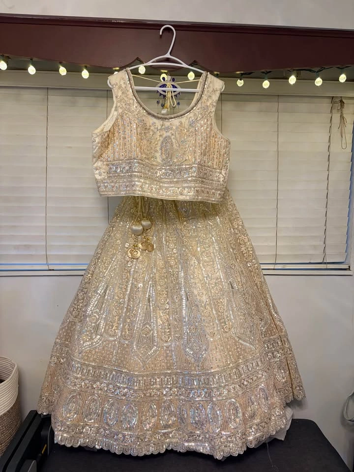 TANZEB Designer Lehenga – Brand New - photo 2