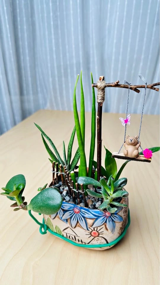 Spring On Sale/ Low maintenance Plant Arrangement