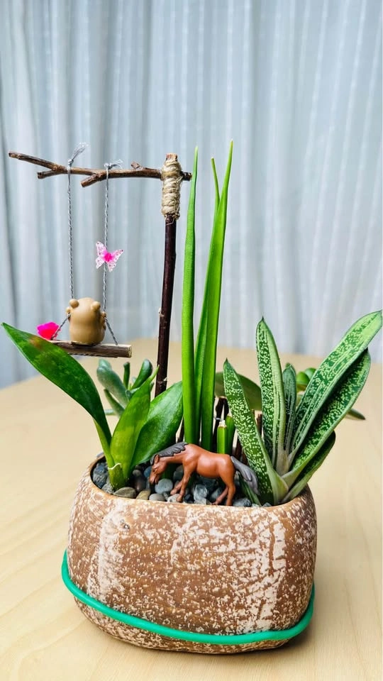 Spring On Sale/ Low maintenance Plant Arrangement - photo 5