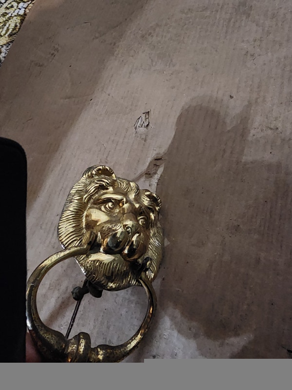 Brass Door Knocker Lion - photo 4