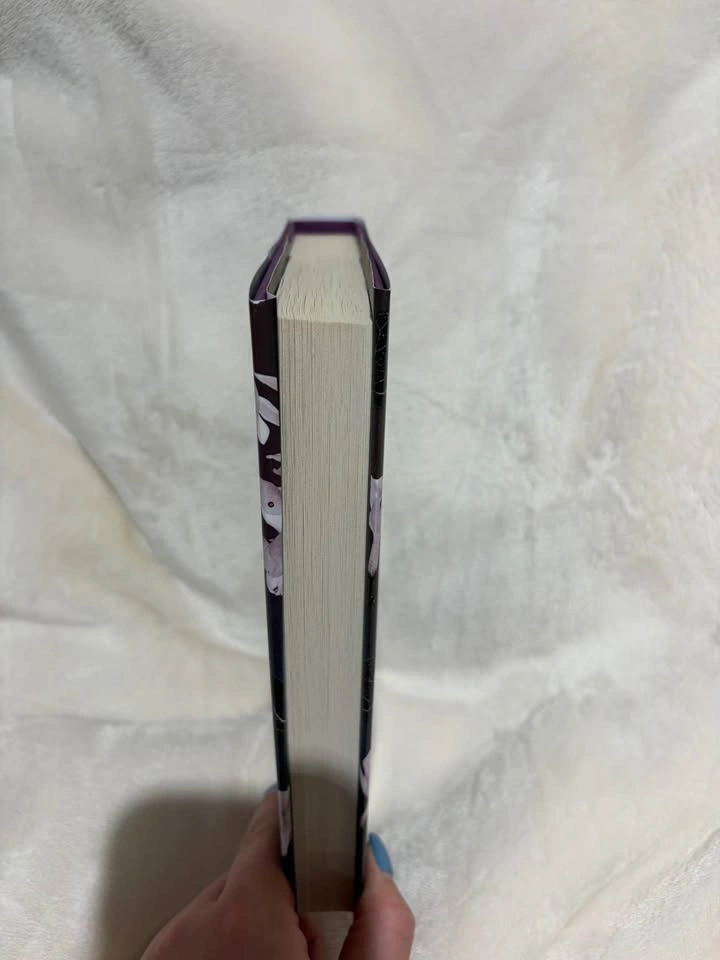 The Queen’s Secret (YA book) - photo 3