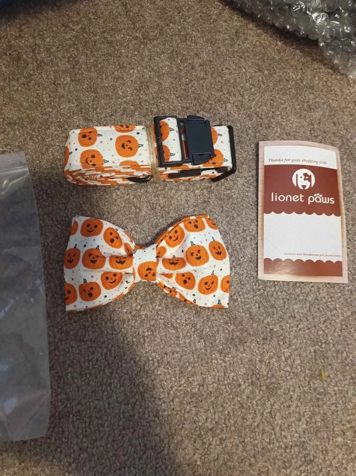 Pumpkin Dog Collar - photo 2