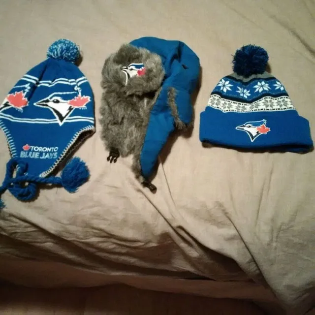 Signed 8" Stanley Cup with COA + Bobblehead image indicator(7)