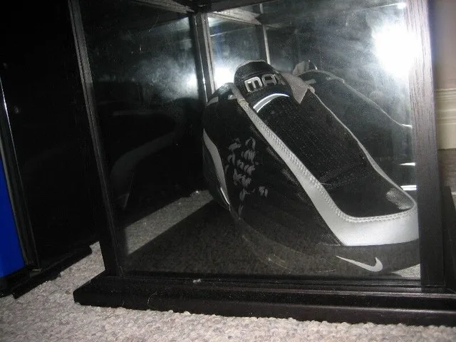 Raptors/Jays/Leafs Memorabilia - Signed Items & Bobbleheads image indicator(5)