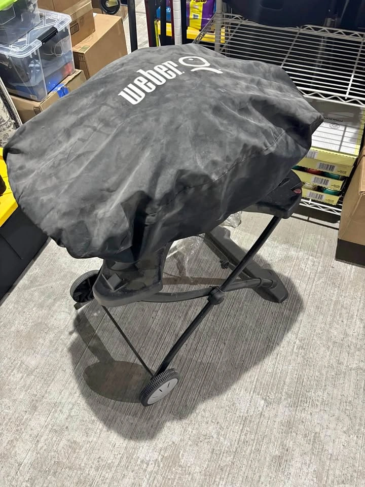 Weber Q1000 Grill with Stand
