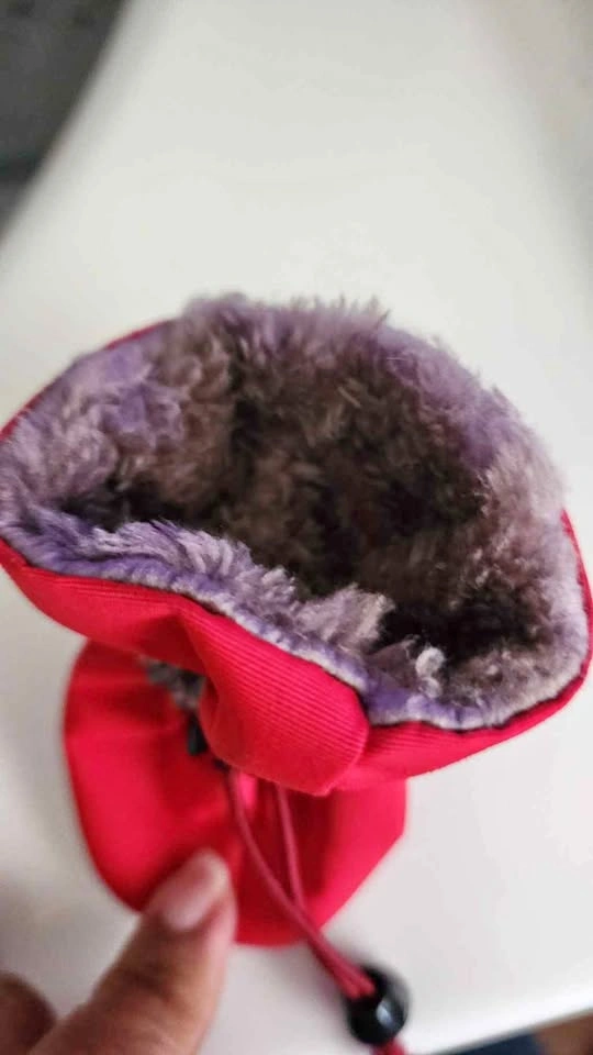 Small dog snow boots