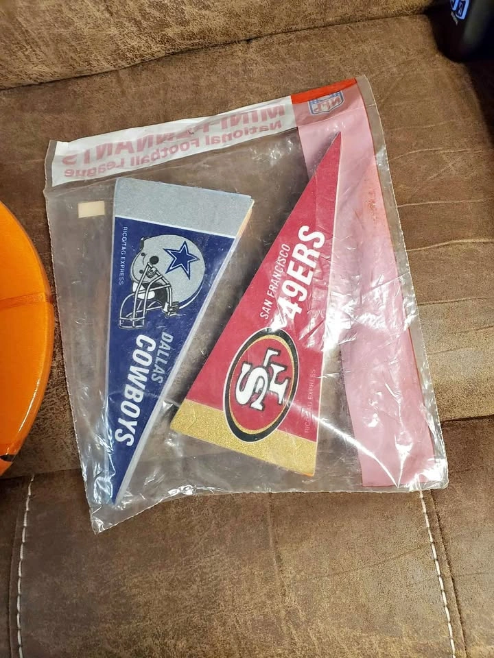 Mini NFL Pennants