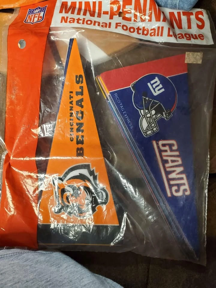 Mini NFL Pennants - photo 2