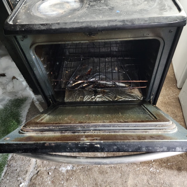 Frigidaire Electric Oven Glass Top Stainless Black - photo 5