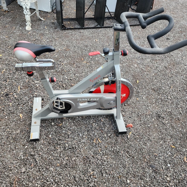 Sunny bike Exercise bicycle pedaling machine red gray