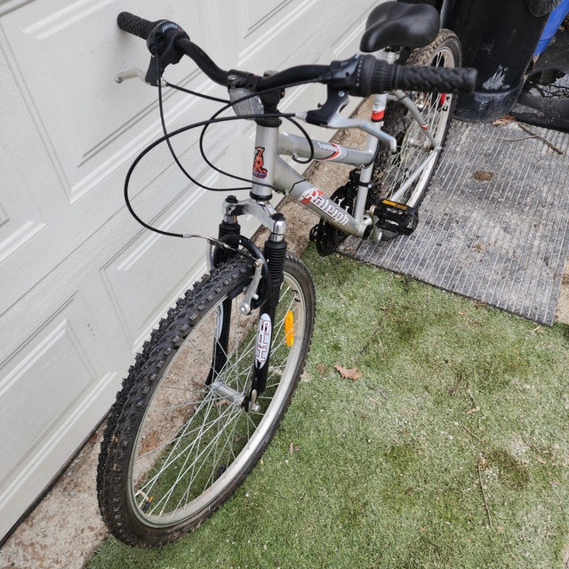 26'' Wheels Raleigh Bicycle Silver Mountain Bike - photo 2