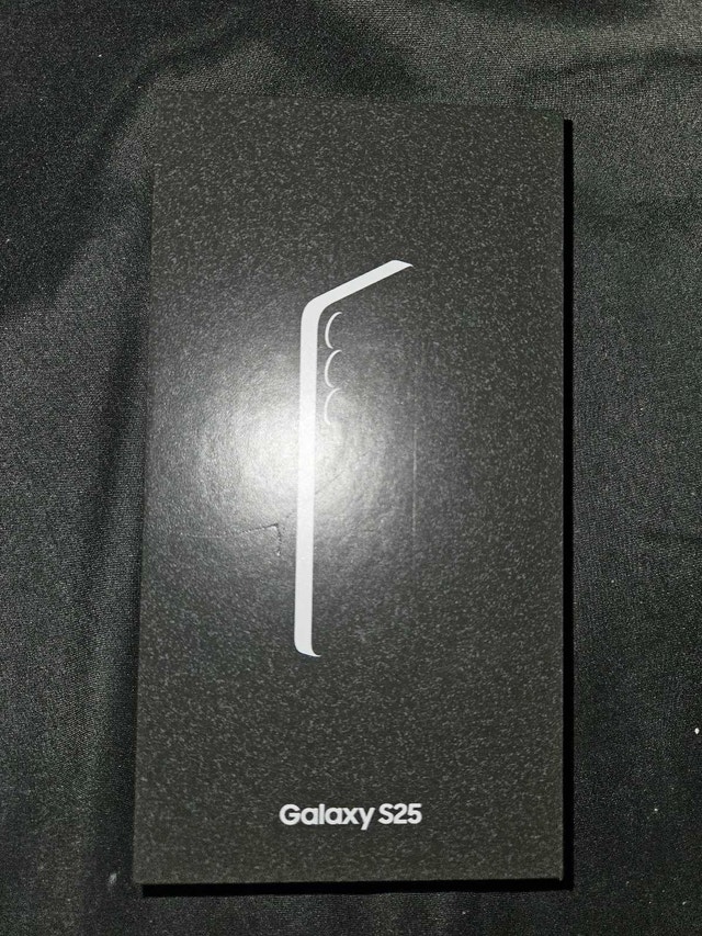 Samsung Galaxy S25