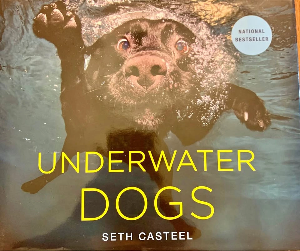 Book DOGS: Dogs Underwater Photography Art Pets