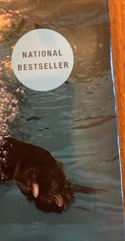 Book DOGS: Dogs Underwater Photography Art Pets - photo 2