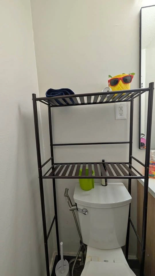 Toilet Shelves