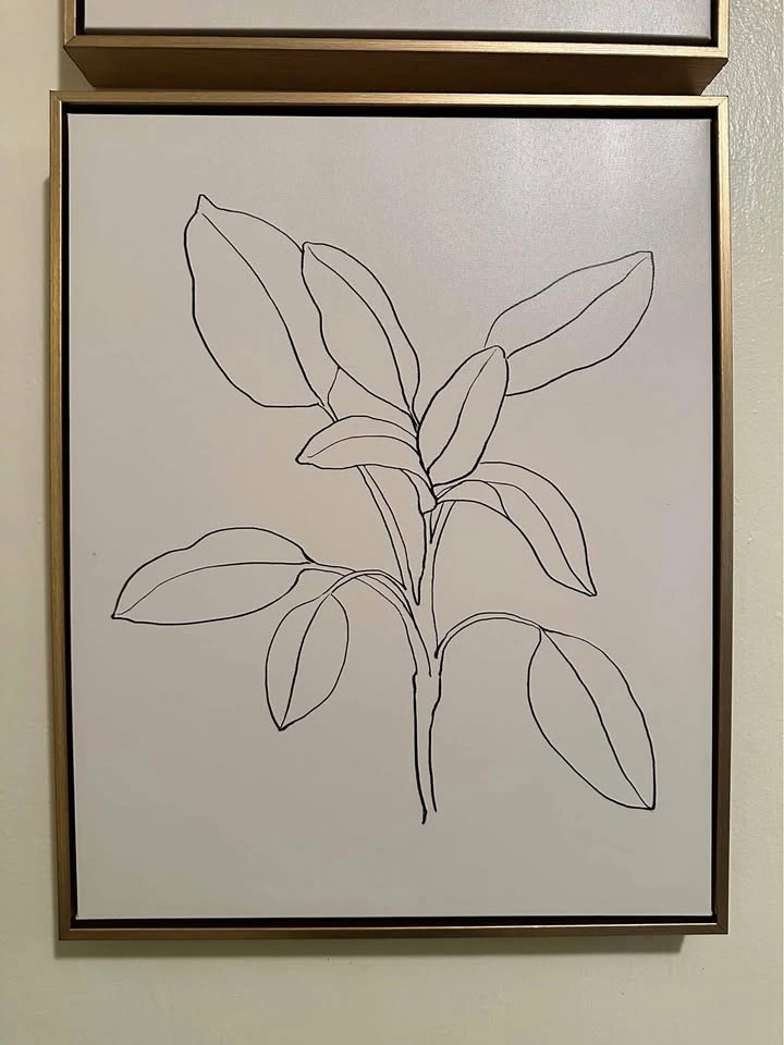 Line Drawing Floral Framed Wall Art