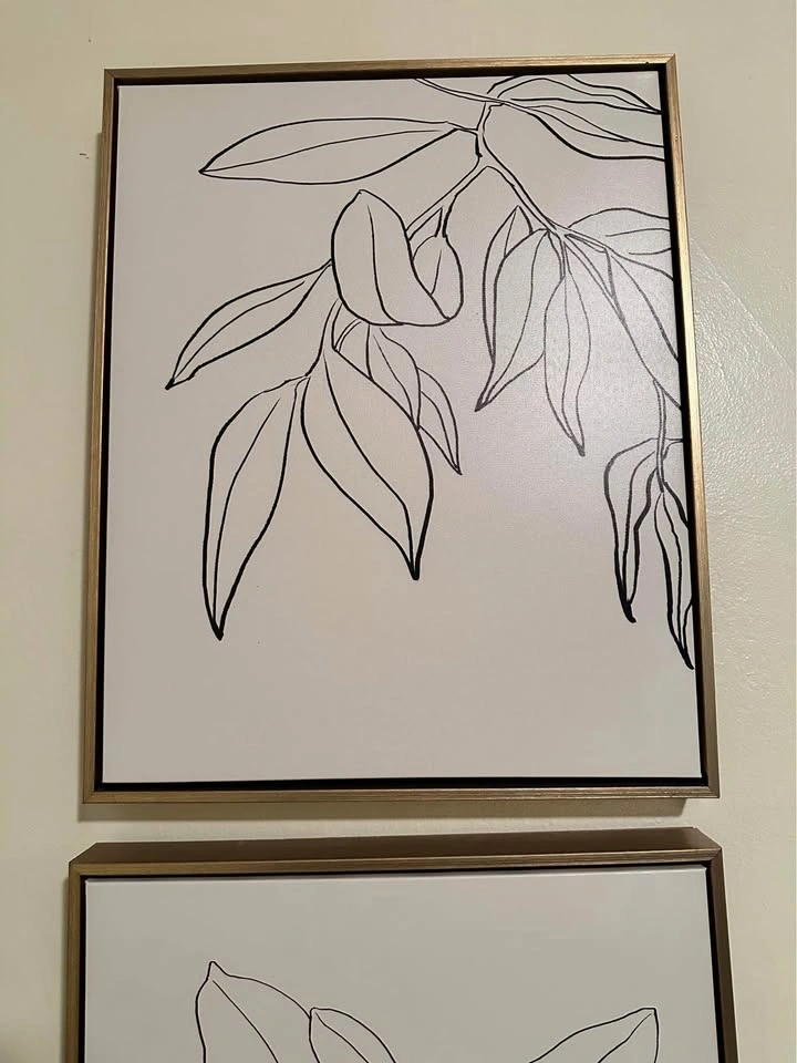Line Drawing Floral Framed Wall Art - photo 2