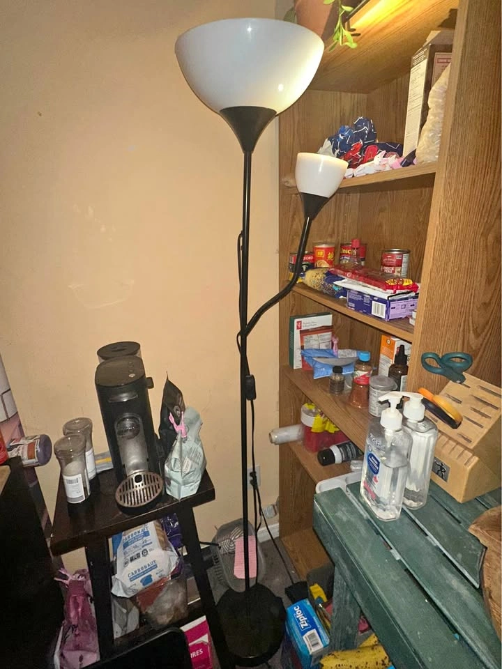 Floor lamp with 2 lights (1 LED on gooseneck)