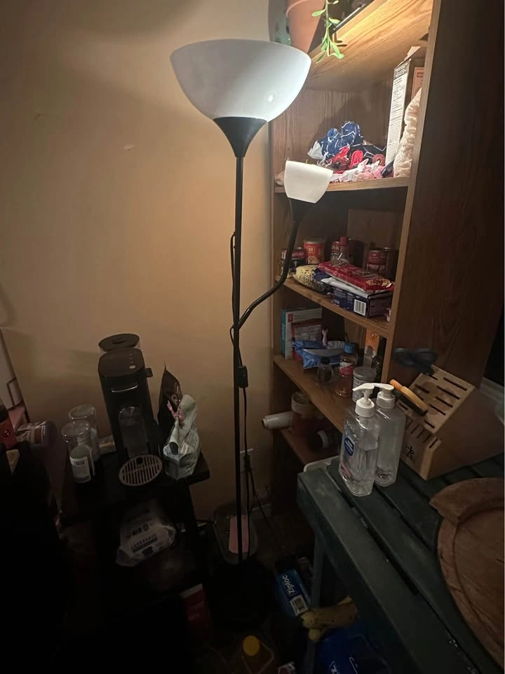 Floor lamp with 2 lights (1 LED on gooseneck) - photo 3