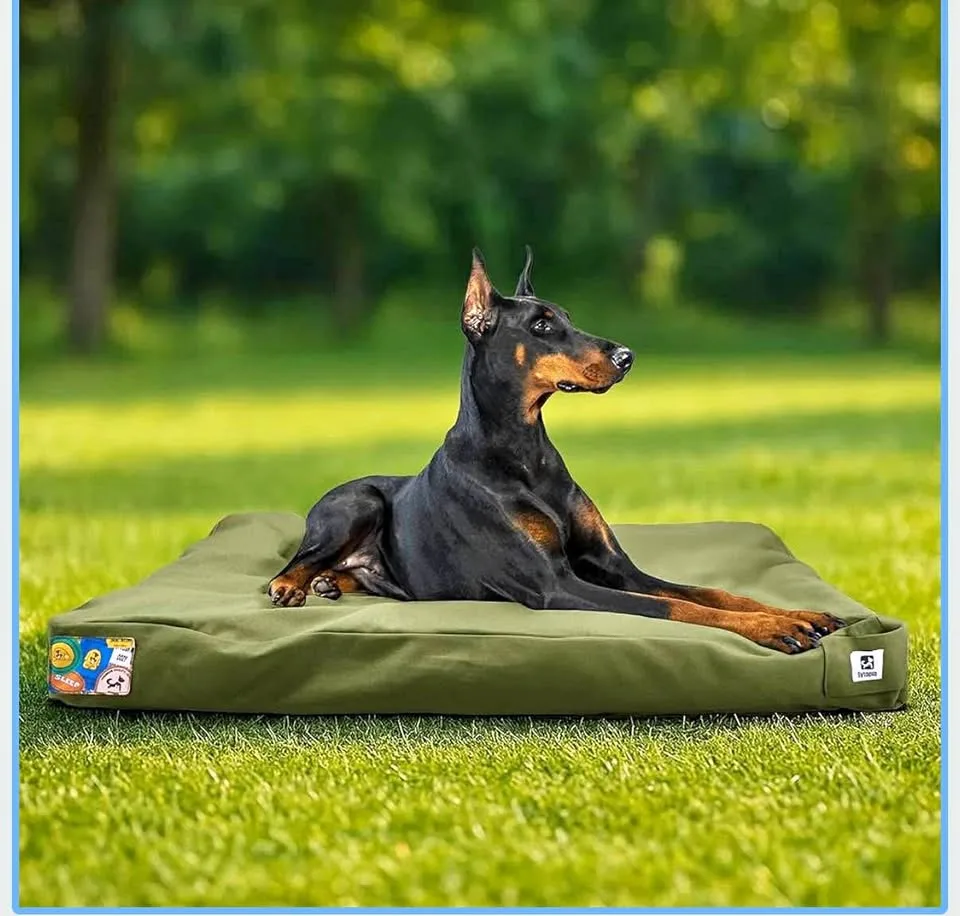 BRAND NEW- Waterproof Large Dog Bed (36”, Green) thumbnail