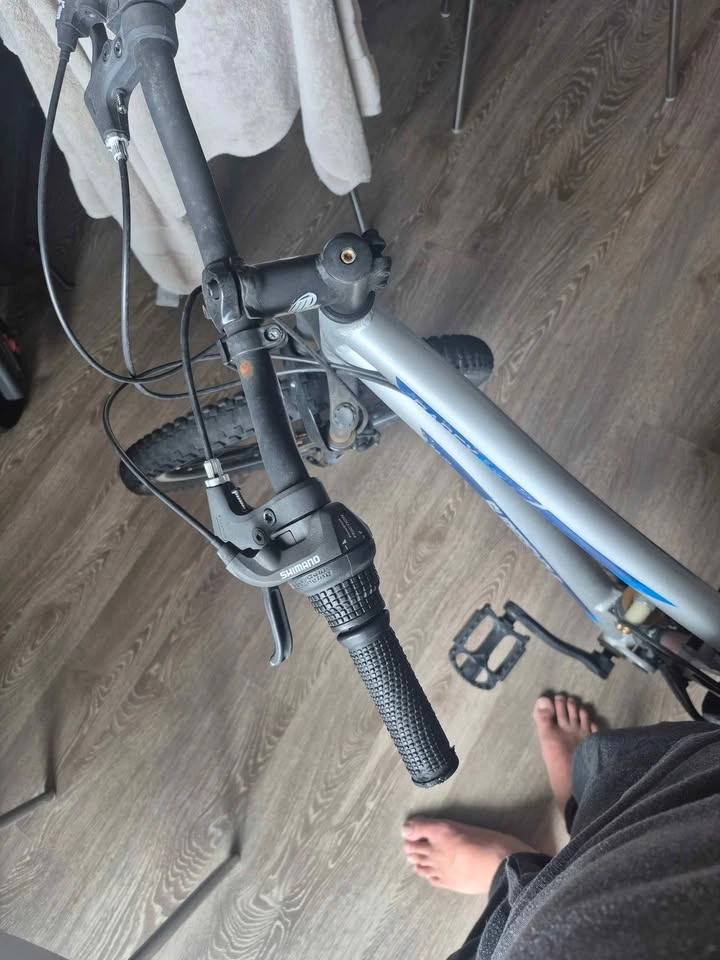 Radex Bike for sale - photo 2